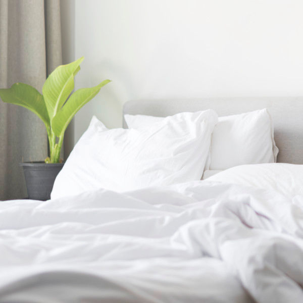 Close to the carpet that has been freshly vaccumed.